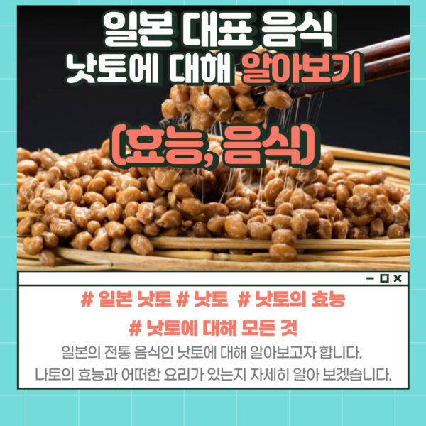 낫토의 효능