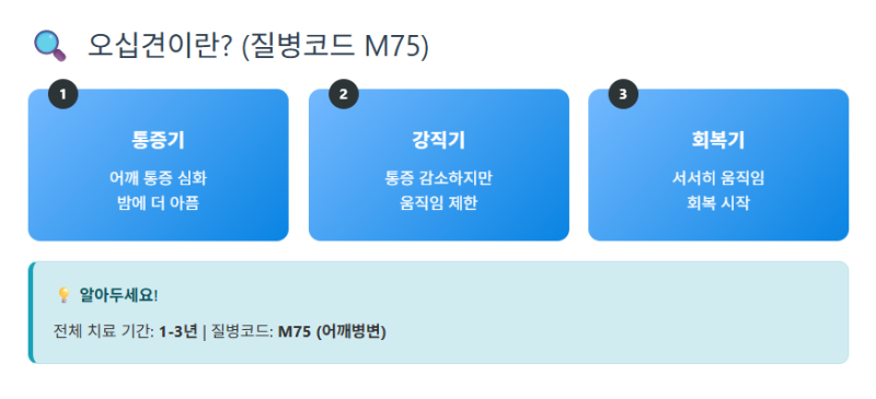 오십견 실손보험
