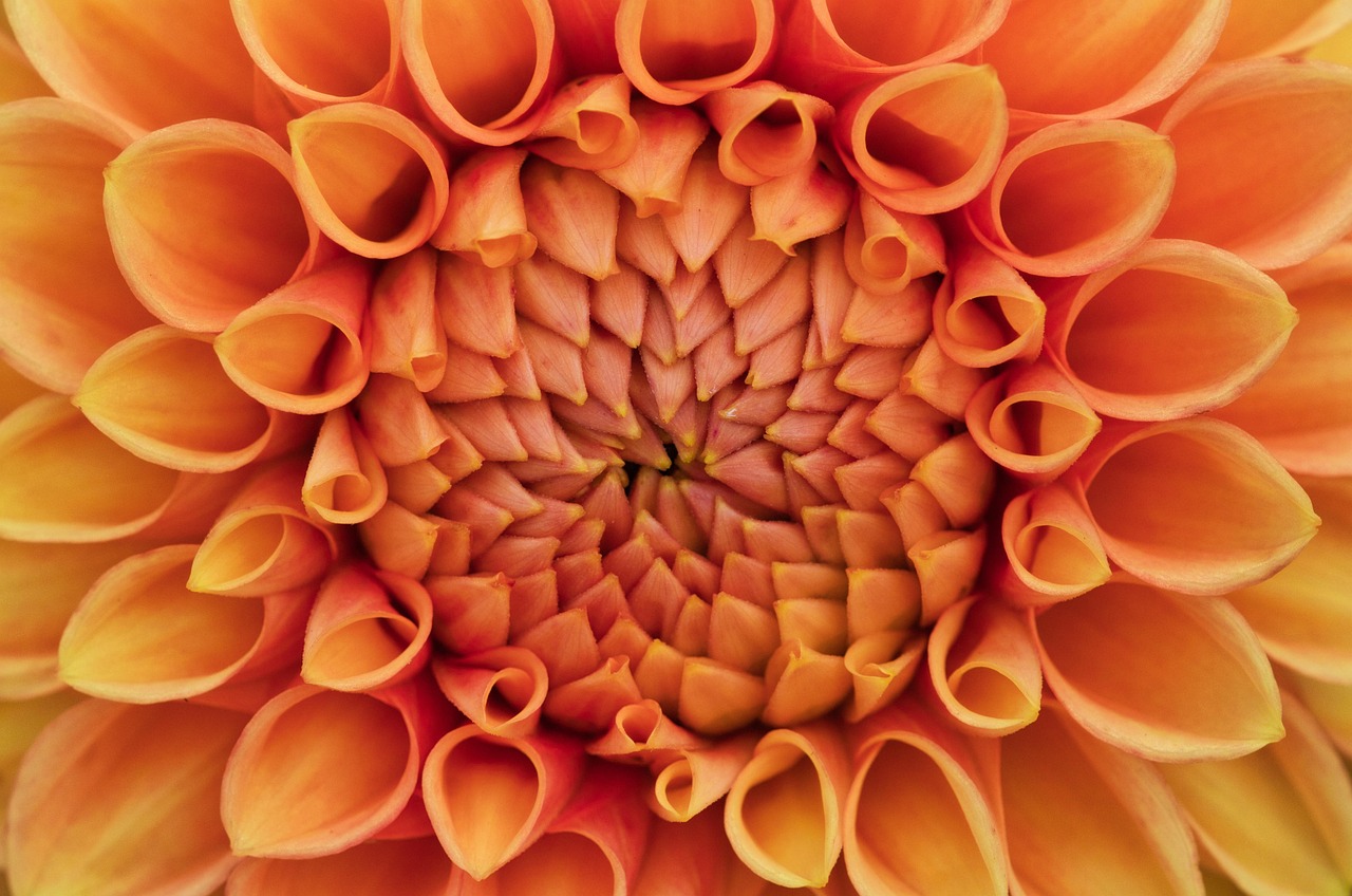 50대 실손보험 가입, 늦었다고 생각하지 마세요 (보장 최적화 가이드)