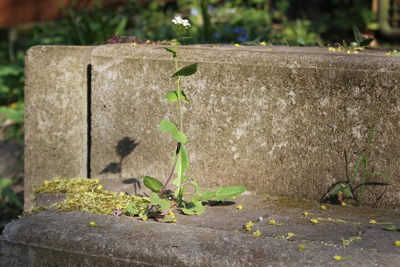 실손보험 보험금 거절당한 사람들의 공통점 7가지