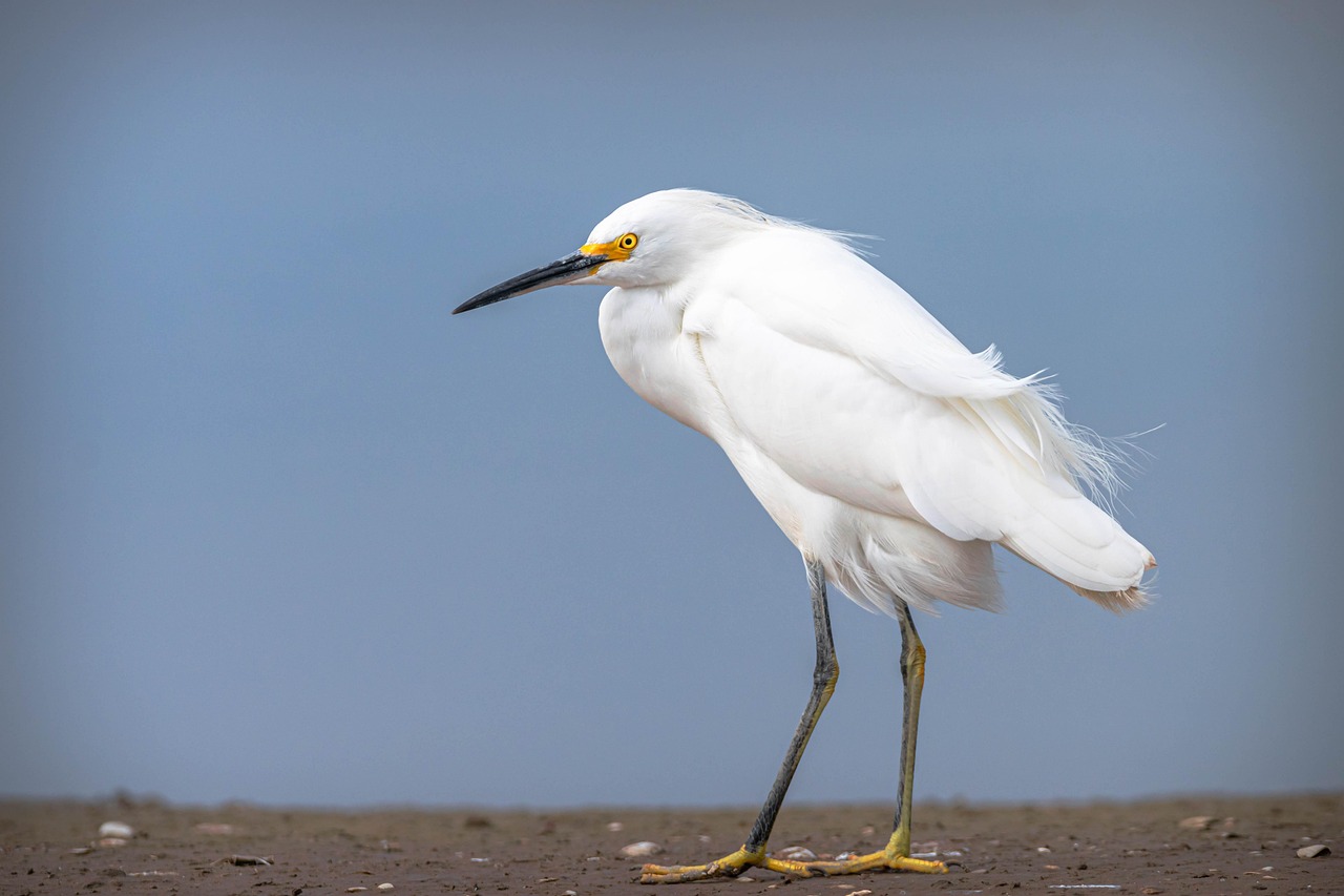 실비보험 2년차 갱신, 보험료가 왜 이렇게 오를까?