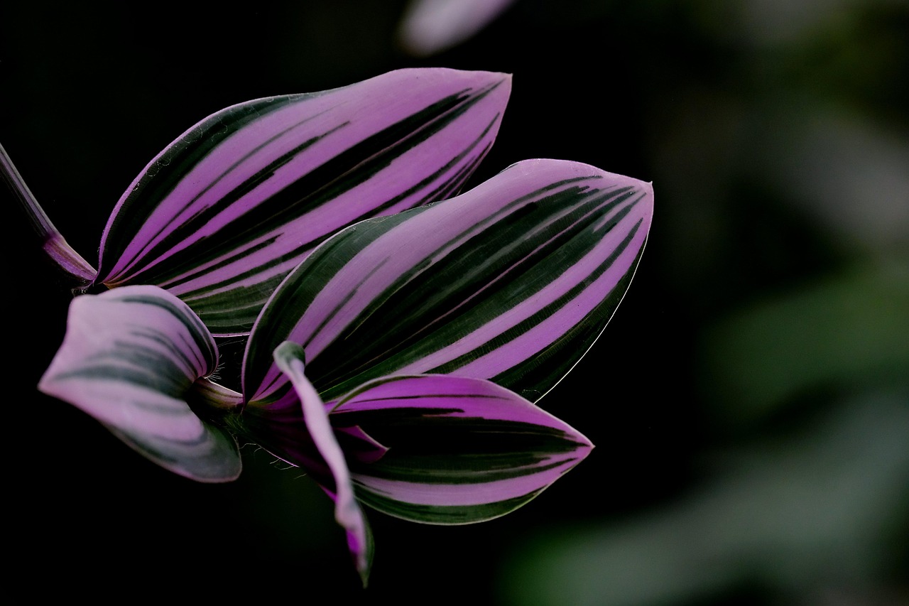 병원 자주 가는 사람에게 불리한 5세대 실손보험? 진실은?