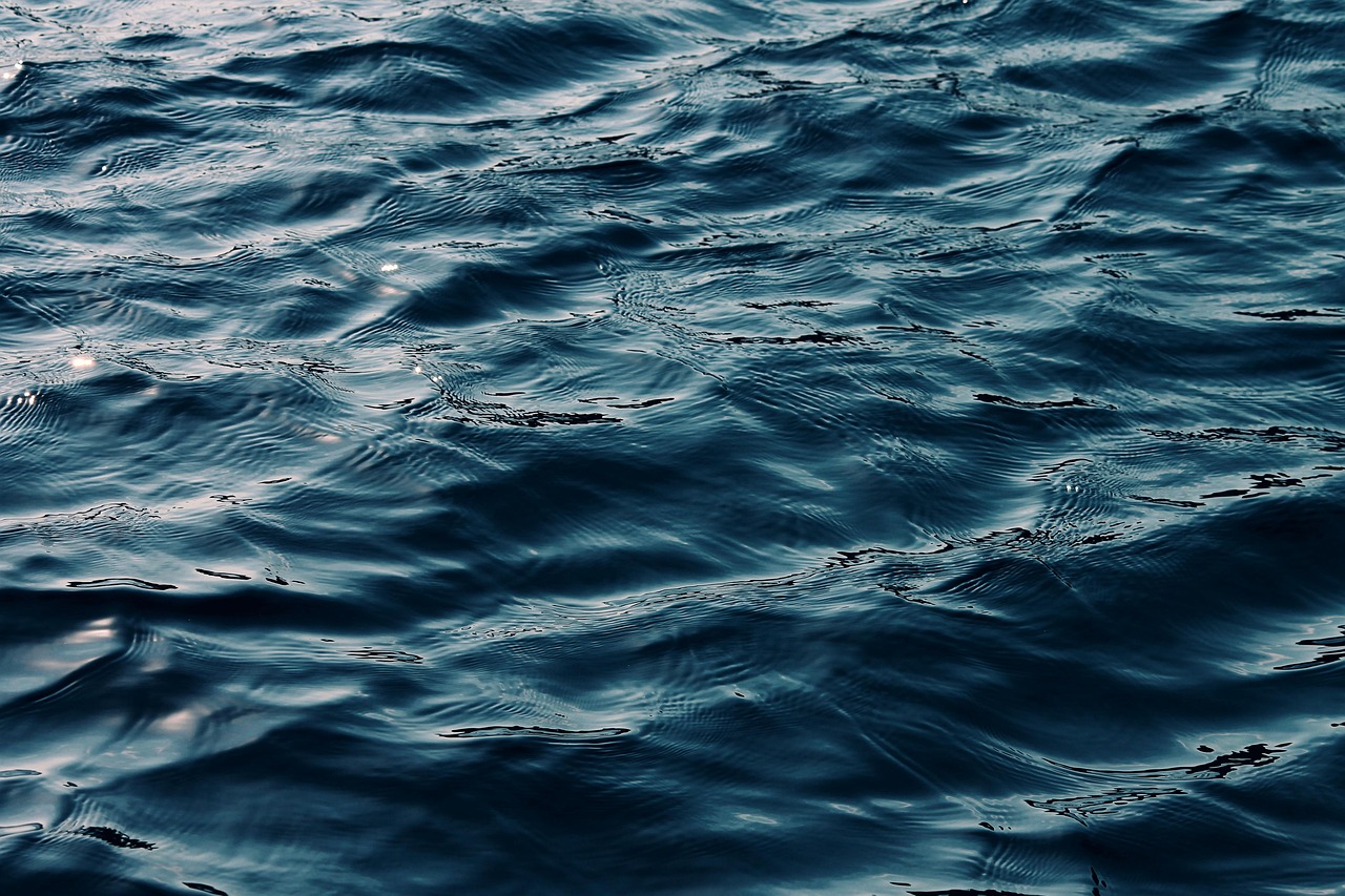 [보험 분석] 5세대 실손보험, 이전 세대와 결정적 차이